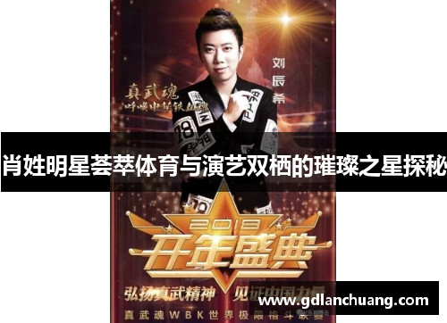 肖姓明星荟萃体育与演艺双栖的璀璨之星探秘