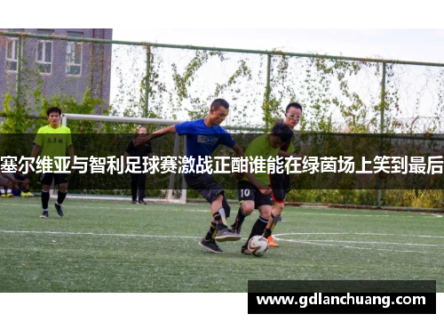 塞尔维亚与智利足球赛激战正酣谁能在绿茵场上笑到最后