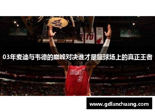 03年麦迪与韦德的巅峰对决谁才是篮球场上的真正王者