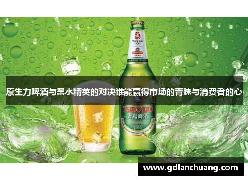 原生力啤酒与黑水精英的对决谁能赢得市场的青睐与消费者的心